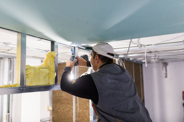 Best Types of Insulation in Wilkinson Heights, SC